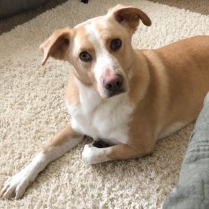 Don’t like the price? Make me a reasonable offer!